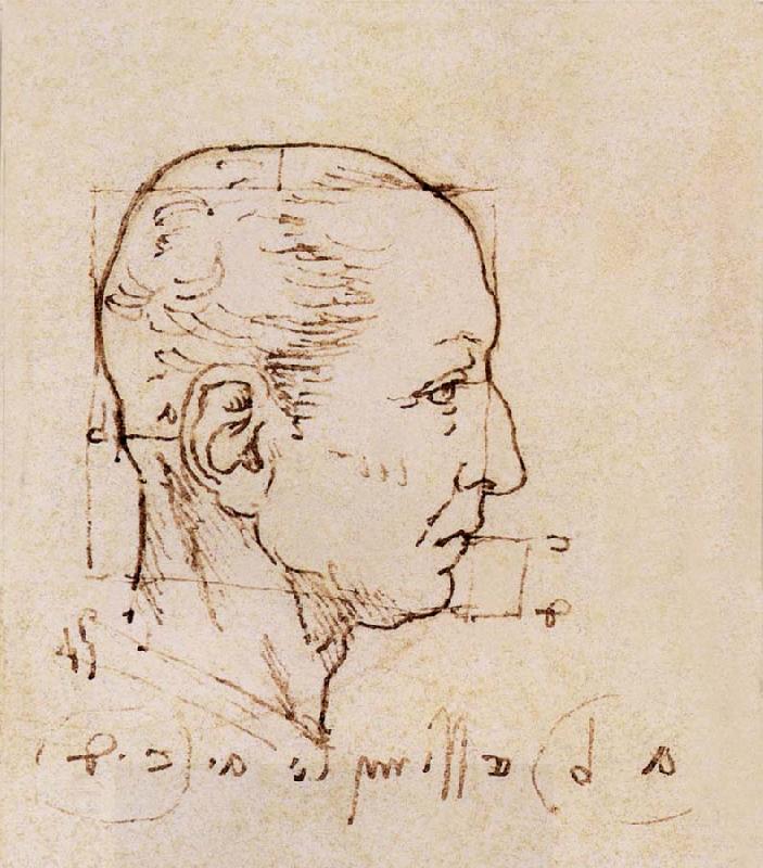 LEONARDO da Vinci Study of the proportion of the head oil painting picture